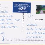 Maxi Postkarte Vorlage Angenehm 15 Postkarte Schreiben Klasse 2