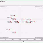 Mckinsey Portfolio Excel Vorlage Erstaunlich Mckinsey Portfolio Excel