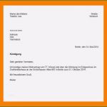 Mieter Abmahnung Vorlage Genial 8 Abmahnung Mieter Muster
