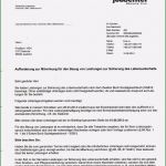Mietschulden Jobcenter Vorlage Hübsch 16 Jobcenter Brief Schreiben Muster