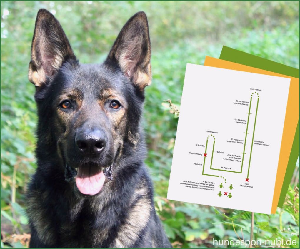 Minilük Vorlagen Inspiration Red Line 1 übungen Zum Ausdrucken