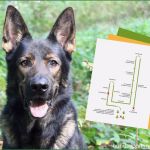 Minilük Vorlagen Inspiration Red Line 1 übungen Zum Ausdrucken