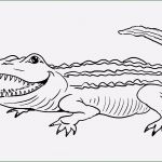 Ministeck Vorlagen Einfach Cool Mal Bilder Vorlagen Galerie Olchis Ausmalbilder Bilder Zum