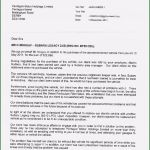 Mitarbeiterbefragung Vorlage Kostenlos Best Of Basic Mitarbeiterbefragung Vorlage Bookbugs