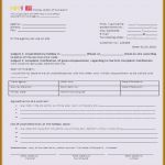 Mitarbeiterbefragung Vorlage Kostenlos Hübsch Schönste Mitarbeiterbefragung Vorlage Kostenlos Jene