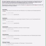 Mitarbeiterbefragung Vorlage Kostenlos Wunderbar Business Wissen Management Security