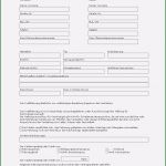 Mobile De Kaufvertrag Vorlage Inspiration Autovz Kaufvertrag