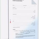 Mobile De Kaufvertrag Vorlage Luxus Kaufvertrag Eigentumswohnung