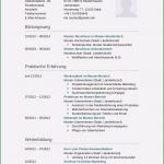 Moderator Bewerbung Vorlage Schön 17 Bewerbung Muster Fahrer