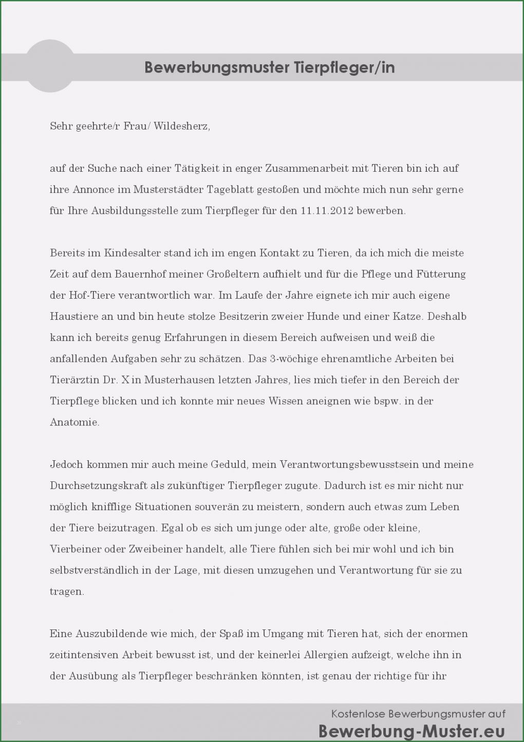 Motivationsschreiben Föj Vorlage Bewundernswert Bewerbungsmuster Tierpfleger Kostenlose Word Vorlage