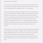 Motivationsschreiben Föj Vorlage Bewundernswert Bewerbungsmuster Tierpfleger Kostenlose Word Vorlage