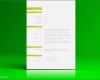 Ms Office Vorlagen Bewundernswert Lebenslauf Vorlage Word &amp; Open Fice Zum Herunterladen