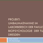 Ms Office Vorlagen Wunderbar Ms Fice Vorlagen Und Designs Kategorie Designs Ms