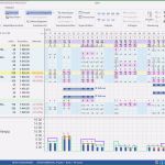 Multiprojektmanagement Excel Vorlage Fabelhaft Multiprojektmanagement software