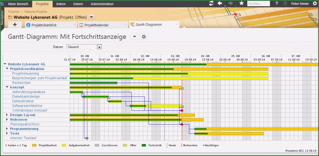 Multiprojektmanagement Excel Vorlage Süß software Projektron Bcs Projektmanagement software