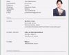 Muster Vorlage Lebenslauf Kostenlos Angenehm Lebenslauf Vorlage Klassisch & Modern