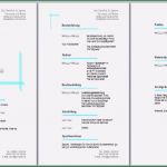 Muster Vorlage Lebenslauf Kostenlos Bewundernswert Lebenslauf Design Vorlage Kostenlos Lebenslauf Beispiel