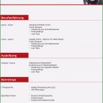 Muster Vorlage Lebenslauf Kostenlos Cool Lebenslauf Muster 3 Rot Kostenlos En