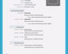 Muster Vorlage Lebenslauf Kostenlos Erstaunlich Lebenslauf Muster Kostenlos Vorlage Cool Kostenlose