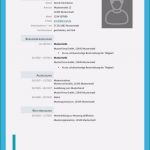 Muster Vorlage Lebenslauf Kostenlos Erstaunlich Lebenslauf Muster Kostenlos Vorlage Cool Kostenlose