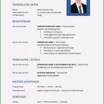 Muster Vorlage Lebenslauf Kostenlos Fabelhaft Tabellarischer Lebenslauf Vorlage Kostenlose Muster Zum