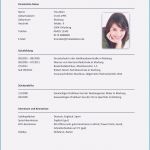 Muster Vorlage Lebenslauf Kostenlos Genial 14 Tabellarischer Lebenslauf Muster Kostenlos