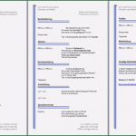 Muster Vorlage Lebenslauf Kostenlos Genial Bewerbungsvorlagen Bewerbung Muster Kostenlos Gratis