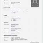 Muster Vorlage Lebenslauf Kostenlos Genial Lebenslauf Muster 38 Kostenlose Muster Als Download