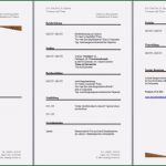 Muster Vorlage Lebenslauf Kostenlos Großartig Lebenslauf Muster Download Kostenlos Lebenslauf Beispiel