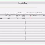 Namensschilder Excel Vorlage Neu Inventarliste Vorlage Excel format