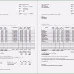 Nebenkostenabrechnung Schweiz Vorlage Gut Handbuch Abrechnungsvorlage Pro