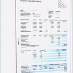 Nebenkostenabrechnung Schweiz Vorlage Neu Nebenkostenabrechnung Muster Excel Lghh4n 44 Beste