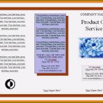 Newsletter Vorlagen Word Kostenlos Best Of 9 Flyer Vorlagen Kostenlos Word
