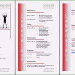 Newsletter Vorlagen Word Kostenlos Beste 21 Flyer Vorlagen Kostenlos Word