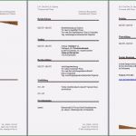 Newsletter Vorlagen Word Kostenlos Erstaunlich 15 Lebenslauf Vorlagen Word Kostenlos