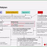 Notfallplan Erstellen Vorlage Angenehm 11 Alarmplan Vordruck