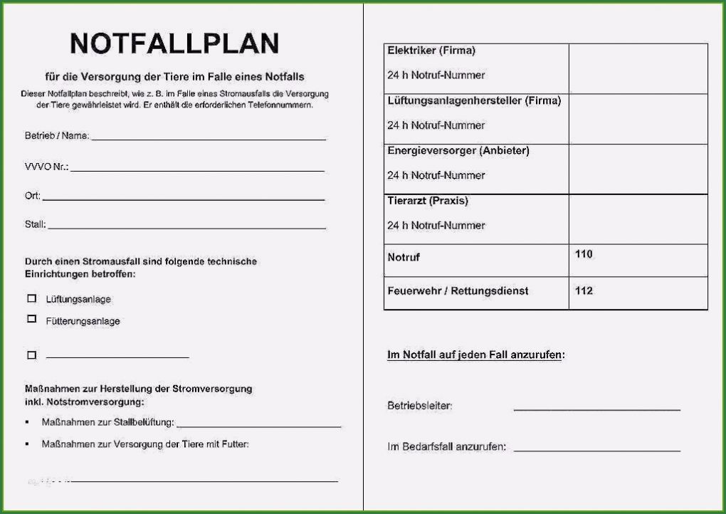Notfallplan Erstellen Vorlage Wunderbar It Notfallplan Vorlage 12 Konzepte Im Jahr 2019