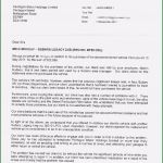 Nuk Businessplan Vorlage Großartig 15 Elegant Vorlage Businessplan Stock Vorlagemuster Me