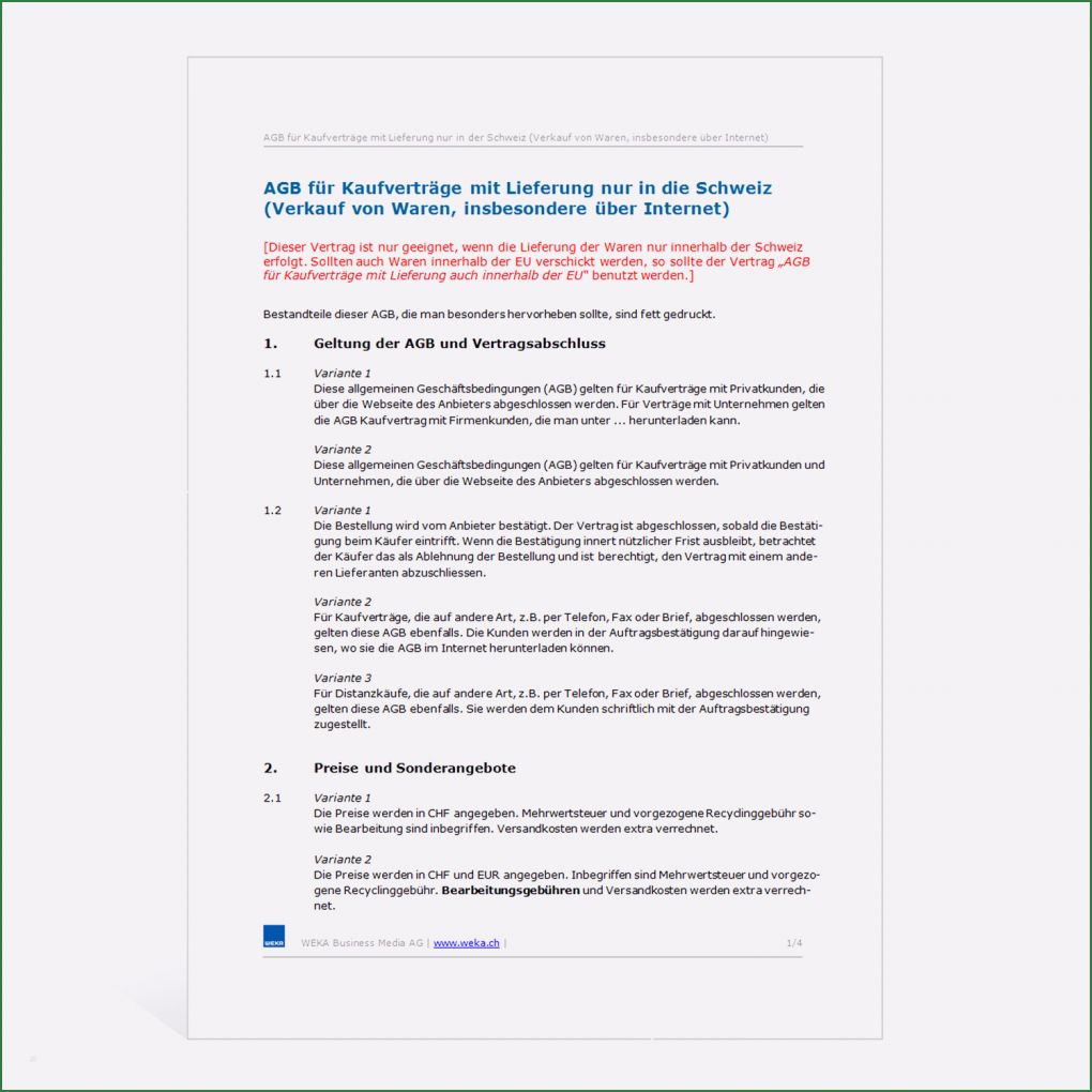 Onlineshop Vorlage Bewundernswert Vorlage Agb Lineshop