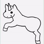 Onlineshop Vorlage Süß Datenschutz Lineshop Vorlage Bewundernswert Frau Tulpes