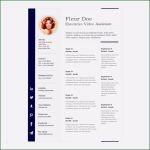 Pages Vorlage Lebenslauf Beste organigramm Vorlage Mac Fabelhaft Lebenslauf Vorlage