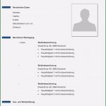 Pages Vorlage Lebenslauf Bewundernswert Lebenslauf Vorlagen Muster Kostenlose Word Vorlage