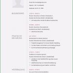 Pages Vorlage Lebenslauf Elegant Muster Lebenslauf Word Muster Lebenslauf Word 2016