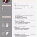Pages Vorlage Lebenslauf Erstaunlich 52 Besten Lebenslauf Muster & Vorlagen Bilder Auf
