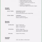 Pages Vorlage Lebenslauf Erstaunlich Lebenslauf Vorlagen 2019 Kostenloser Download Der