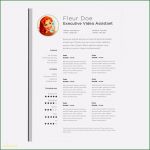 Pages Vorlage Lebenslauf Inspiration 12 Lebenslauf Vorlage Pages