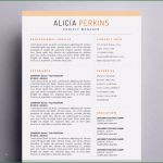 Pages Vorlage Lebenslauf Schönste Vorlage Lebenslauf Pages