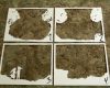 Paper Cut Light Box Vorlage Bewundernswert Paper Cut Shadow Box 5 Steps with