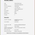 Pdf Lebenslauf Vorlage Best Of Lebenslauf Vorlage Leer thelayer