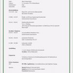 Pdf Lebenslauf Vorlage Bewundernswert 11 Muster Lebenslauf Pdf Vorlagen123 Vorlagen123